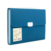 델리 린피니 스타일리쉬 도큐먼트 12분류 파일백 72593, 블루BL, 1개