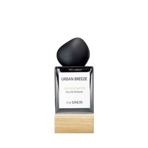 더샘 어반 브리즈 빈티지 워터 오 드 퍼퓸, 1개, 35ml