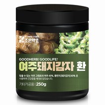 조은약초 여주 돼지감자환, 250g, 1개