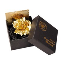 24K 골드 카네이션 브로치