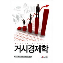 거시경제학, 지필미디어