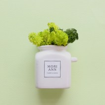 모리엔 투톤모스화분 그린 앤 다크그린 + 불가사리피규어 + 메세지픽 랜덤발송, 1세트