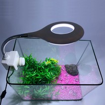 아쿠아테라 수족관 LED 인테리어 미니등 AMZ-L20, 1개