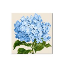아디코 DIY 페인팅 블루 하이드렌저 E47 25x25, 혼합색상