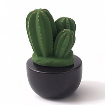 JCP 동글 선인장 테라피 오브제, 트리플