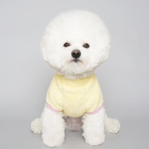 바이담수미 파스텔 보아 강아지 맨투맨, 옐로우