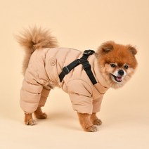 볼독 [무료배송]강아지 겨울스웨터 고양이겨울옷 강아지니트 리트리버겨울옷 니트/스웨터, 블루