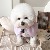 바이담수미 리본끈 한복 강아지 케이프 S, 퍼플