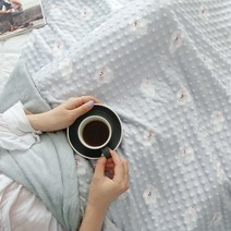 까사베르데 비숑 정전기 방지 가공 엠보 극세사 두겹 담요
