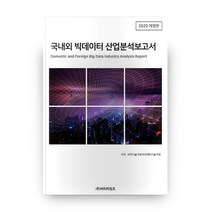 국내외 빅데이터 산업분석보고서(2020)