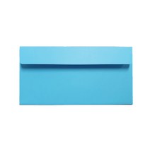 초대장 청첩장 리플릿 수입지 엽서봉투 220 x 105 mm, 하늘색, 100개