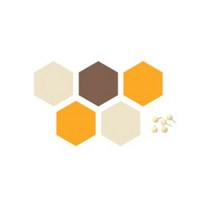 더하기 샌드위치 스마트보드 육각 H 세트 5p, 허니망고