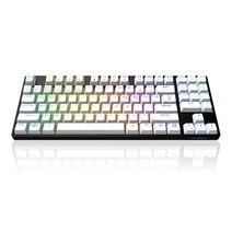 마이크로닉스 PRO 게이밍기계식 RGB 갈축, 텐키리스, MANIC EX89, 블랙 + 화이트