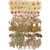 압화 공예 종합팩 K506 100p, 혼합색상, 1세트