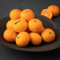 귤탐 고당도 제주 하우스감귤, 2.5kg(2S~M), 1박스