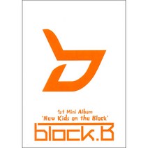 블락비 - NEW KIDS ON THE BLOCK 미니1집 앨범