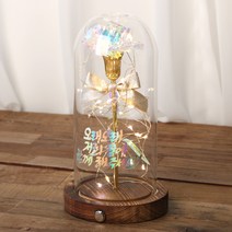 프리저브드 카네이션 유리돔 홀로그램 카네이션 + 장미 LED 무드등 유리돔 버튼형, 홀로그램 오래오래