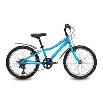알톤스포츠 2021년형 엑시언 207 MTB 자전거 미조립박스배송, 블루, 146cm