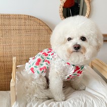바이담수미 강아지 아쿠아 원피스, 레드