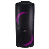카날스 블루투스 충전용 뮤직 앤 플레이 스피커 더블우퍼 500W 25cm