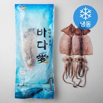 해풍수산 영덕항 반건조 오징어 특대 10미 (냉동), 1.3kg, 1개