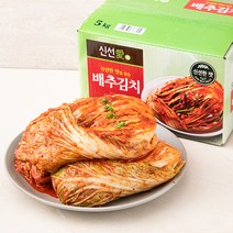 신선애 배추김치, 5kg, 1개