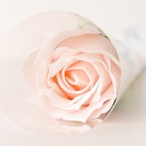 아스파시아 퍼퓸 로즈 한송이 비누꽃 10p, 연연핑크