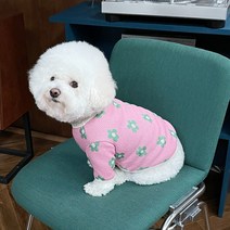바이담수미 강아지 배색 꽃자가드 니트, 핑크