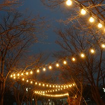맥아트 LED 스트링 라이트 전등선 20m 20소켓 + 인치구 3W 주광색 20p, 블랙(전선)