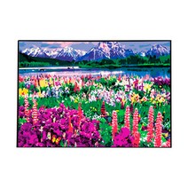 플레이어바웃 DIY 명화 그리기, 라벤더 가든