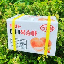 미니 돈만가득 용돈박스 세트, 복숭아