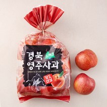 다조은 경북 영주 소백산 당도선별 사과, 1.5kg(4~8입), 1개
