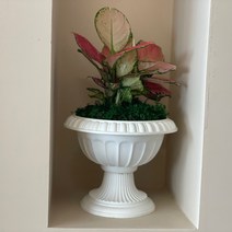 마츠리센 클래식 플라스틱 화분, 화이트