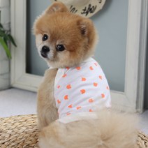 에이미러브즈펫 반려동물 야광곰나시, 오렌지