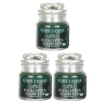 르미에 스몰자 캔들 70g, 3개, 유칼립투스