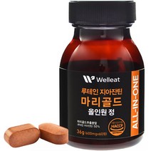 웰리트 루테인 지아잔틴 마리골드 올인원 정 36g, 60정, 1개