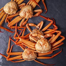 해선생 포항시 인증 바로먹는 구룡포 붉은대게(대), 1400g(5미), 1박스