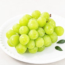 모서랑 농협 GAP 인증 샤인머스켓, 450g, 1개