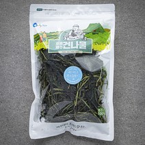 프롬제주 제주산 어린순 무시래기 100g, 1개