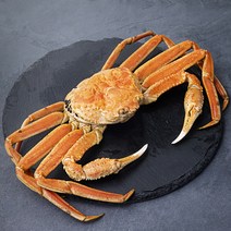 아라보감 산지직송 어제 찐 자숙 자숙 대게 (냉장), 750g, 1세트