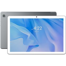태클라스트 APEX 태블릿PC P20HD gen2, Wi-Fi, 그레이, 64GB