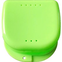 정월나나 프리미엄 틀니 보관함, 1개, 그린