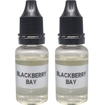 엠퓨처 차량용 불독 방향제 리필 오일 15ml, 2개, 블랙베리베이