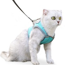 파스텔펫 고양이 메쉬 테이핑 하네스 세트, 블루