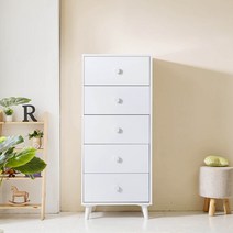 라온퍼니쳐 어도러블 600 5단 서랍장 방문설치, 화이트