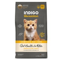 인디고 특허 유산균 면역 앤 키튼 고양이 사료, 1개, 6kg