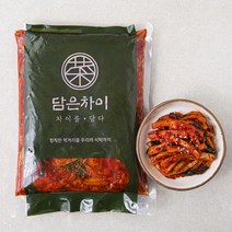 담은차이 무말랭이 무침, 1kg, 1개