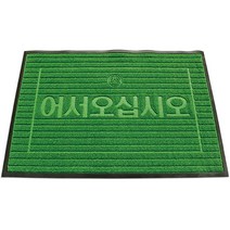 삼정크린마스터 미끄럼방지 어서오십시오 현관 잔디 매트, 녹색, 1개