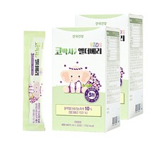 안국건강 코박사엘더베리, 2개, 450ml