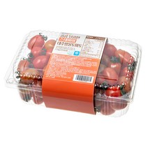 곰곰 달콤한 스테비아 대추방울토마토, 1.5kg, 1팩